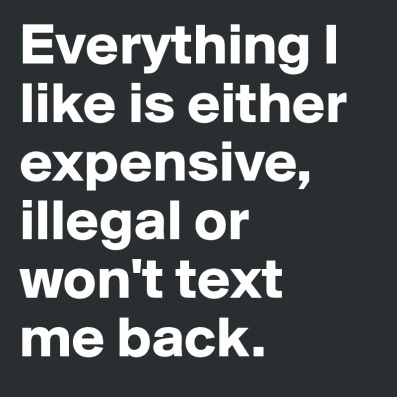 Everything-I-like-is-either-expensive-illegal-or-w.jpeg